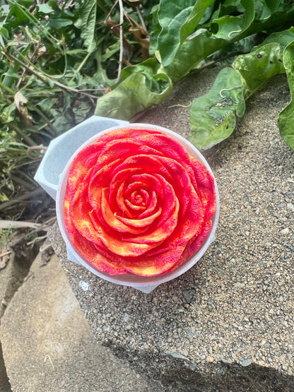 Eternal Rose